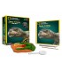 Excava Y Descubre Fosil Dino Ref: 60066