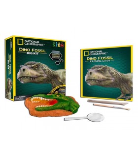 Excava Y Descubre Fosil Dino Ref: 60066