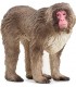 Macaco Japones Ref: 14871