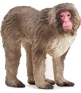 Macaco Japones Ref: 14871