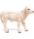 Ternero Charolais Ref: 51157