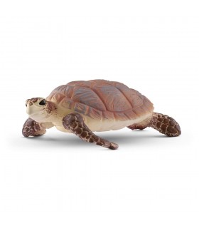 Tortuga Carey Ref. 14876
