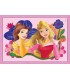 Puzzle Princesa 4 En 1 Ref: 21517