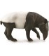 Tapir Malayo Ref: 88881