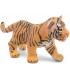Cria Tigre Ref: 50021