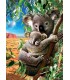 Puzzle 500 Pcs Koala Ref: 18999