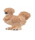 Gallina Silkie Plumaje Ref: 14981