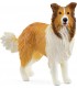 Perro Collie Ref: 13998