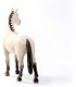 Caballo Capon Hannoveriano Bayo 13928