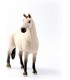 Caballo Capon Hannoveriano Bayo 13928