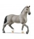 Semental De Selle Frances Ref: 13956