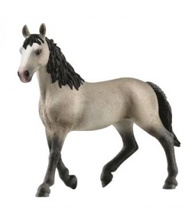 Yegua Cheval De Selle Frances Ref: 13955