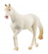 Caballo Camarillo Stute Ref: 13959