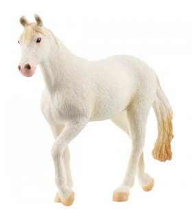 Caballo Camarillo Stute Ref: 13959