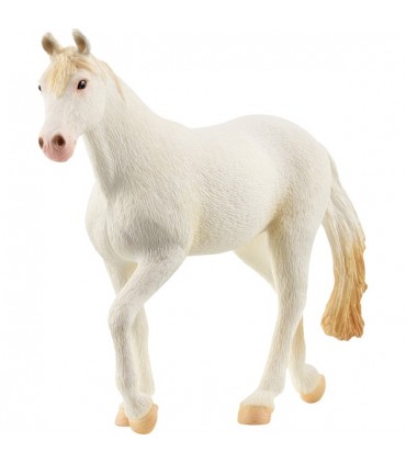Caballo Camarillo Stute Ref: 13959