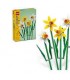 Narcisos Ref: 40747