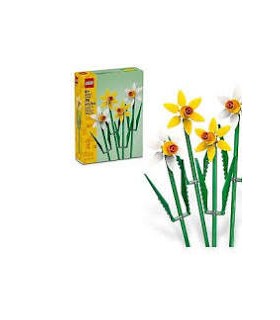 Narcisos Ref: 40747