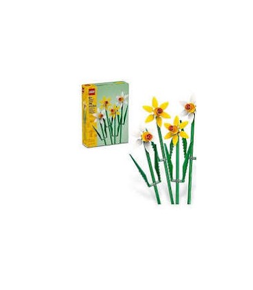 Narcisos Ref: 40747
