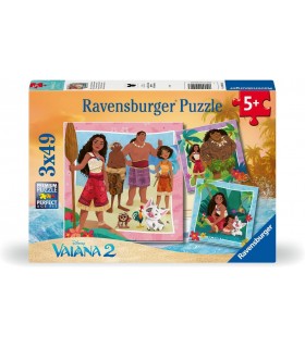 Puzzle Vaina 2 - 3*49Pcs Ref: 04102