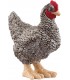 Gallina Pelo Rock Ref: 13997