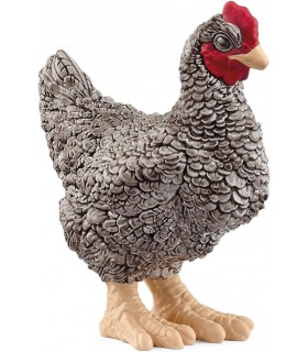 Gallina Pelo Rock Ref: 13997