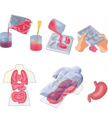 Anatomia Squishy Ref: 55577