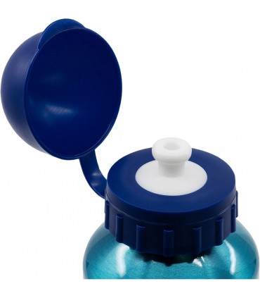 Botella Aluminio Bluey Peq.400ML 50634