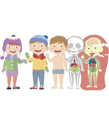 El Cuerpo Humano Ref: 55604