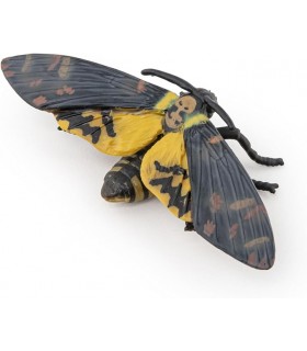 Polilla Ref: 50299