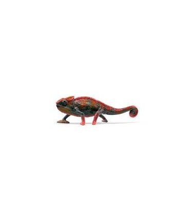 Camaleon Ref: 14858