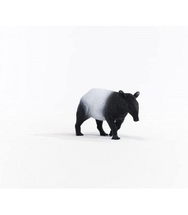 Tapir Ref: 14850
