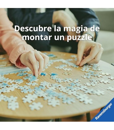 Puzzle Pajaros 1000 Pcs Ref: 002819