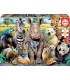 Puzzle 300 Pcs Foto  De Clase Ref: 15908