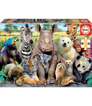 Puzzle 300 Pcs Foto  De Clase Ref: 15908