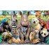 Puzzle 300 Pcs Foto  De Clase Ref: 15908
