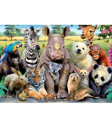 Puzzle 300 Pcs Foto  De Clase Ref: 15908