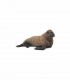 Cria De Morsa Ref: 88570