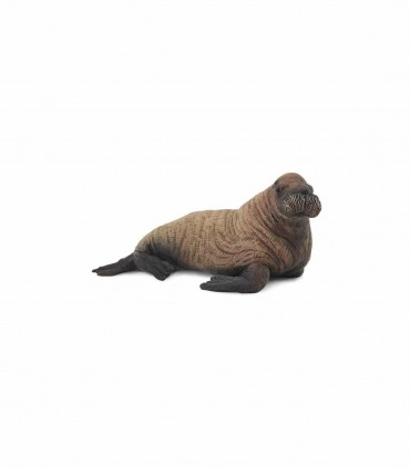 Cria De Morsa Ref: 88570