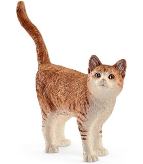 Gato Ref: 13836 