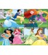 Puzzles Progres.12+16+20+24 Ref: 17166