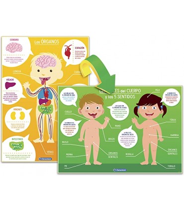 El Cuerpo Humano Ref. 55114