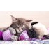 Puzzle 500 Pcs Compañeros Sueños 17644