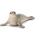 Foca Ref: 14801