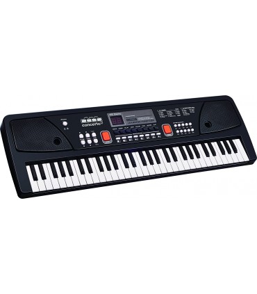 Organo Electronico 61 Teclas Ref: 8922