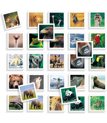 Memo Photo Animales Ref: 68941