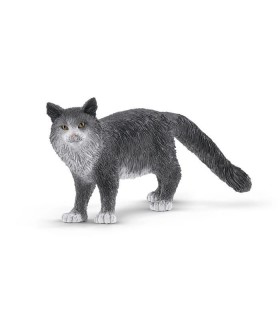 Gato Maine Coon Ref: 13893