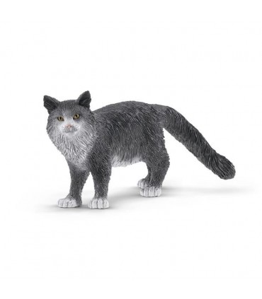 Gato Maine Coon Ref: 13893