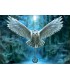 Puzzle 500 Pcs Despierta Tu Magia 17959