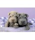 Puzzle 100 Pcs Buenos Dias Ref: 18063