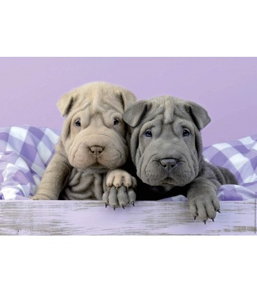 Puzzle 100 Pcs Buenos Dias Ref: 18063